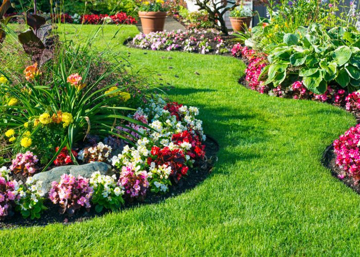 Beautiful home garden in full bloom